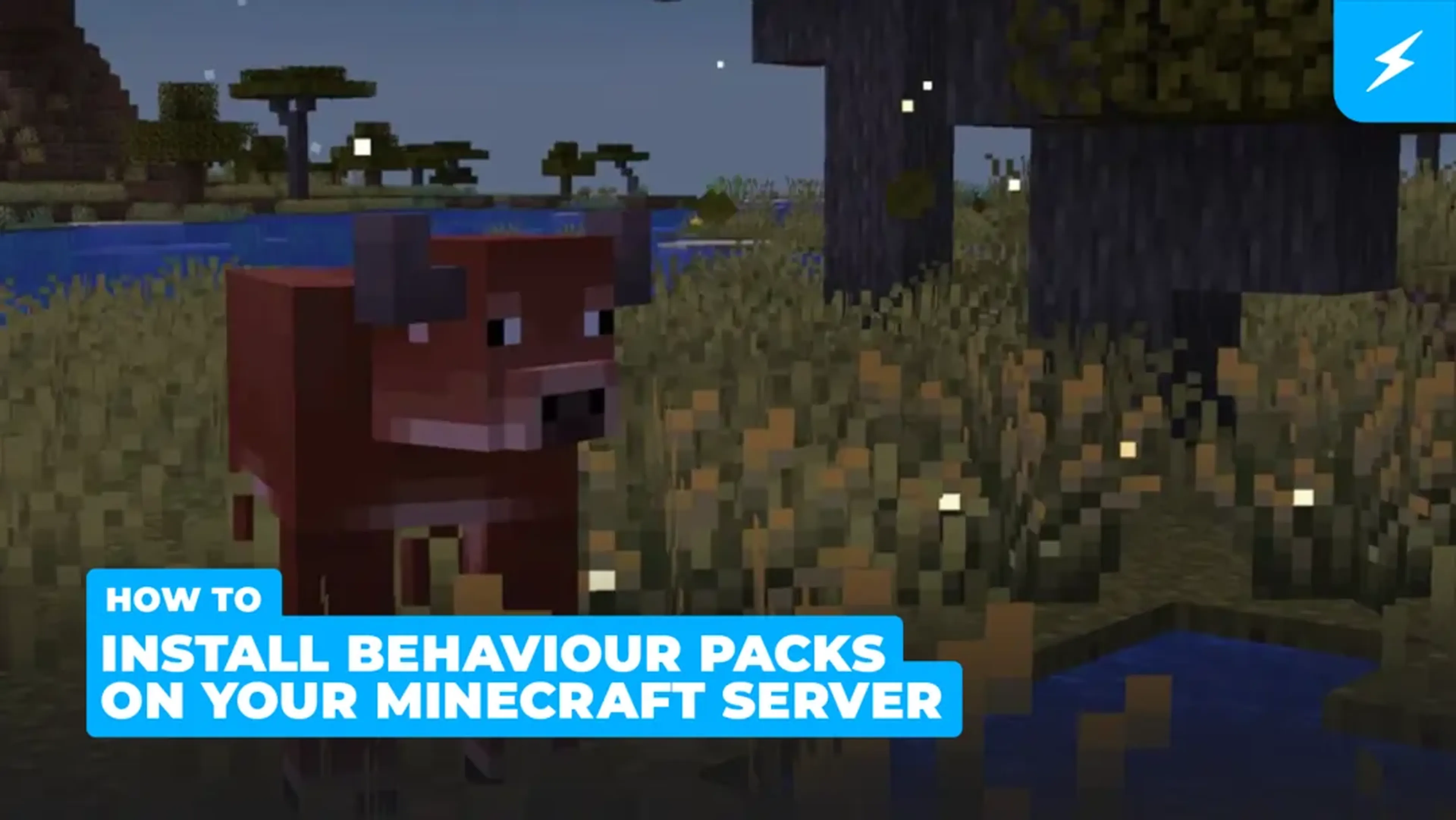 How to install behaviour packs on your minecraft server