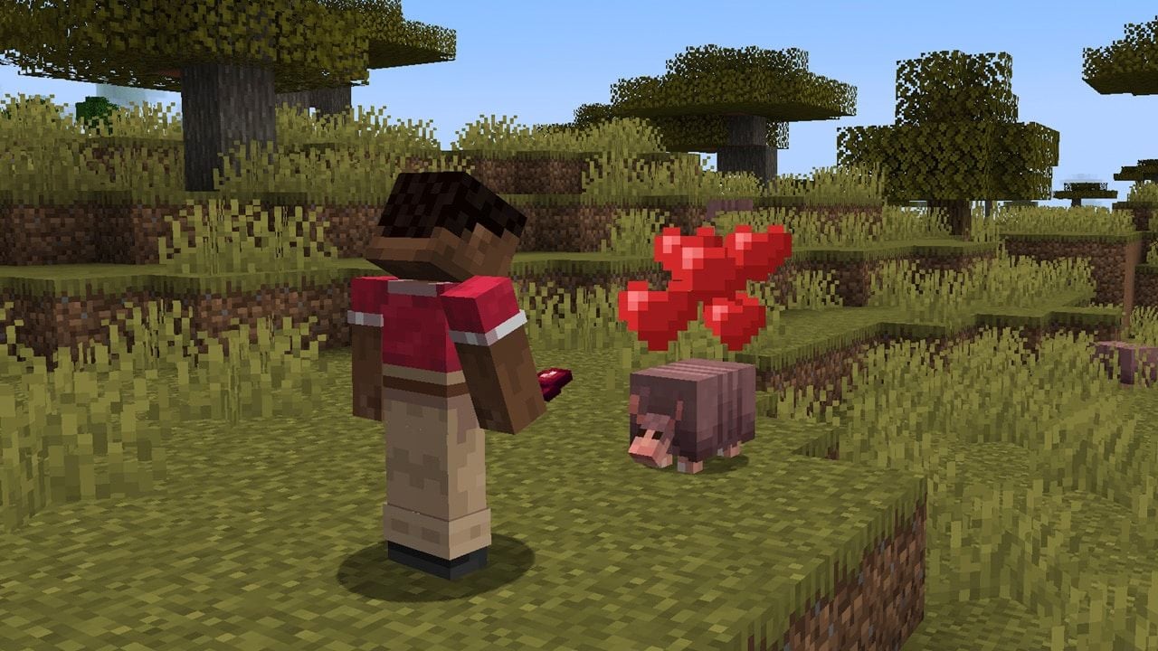 player feeding armadillo in minecraft