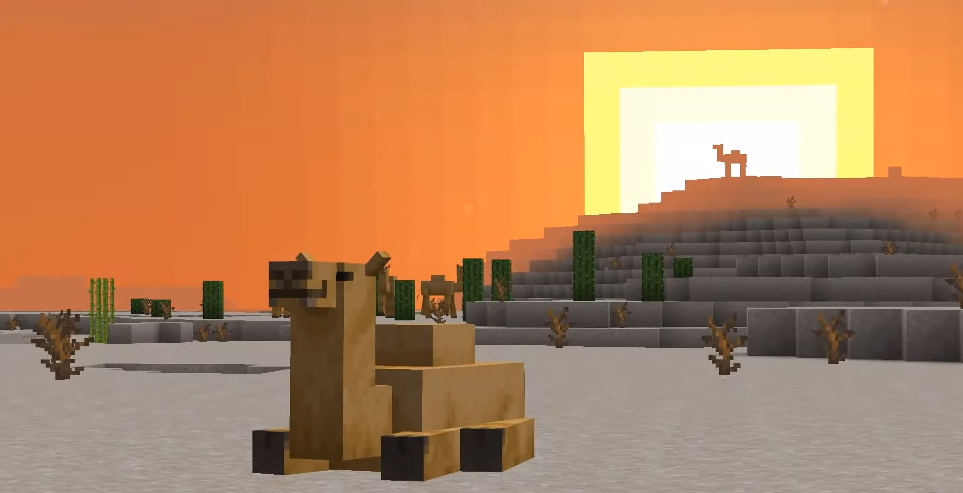 minecraft camel sitting on the ground at sunset