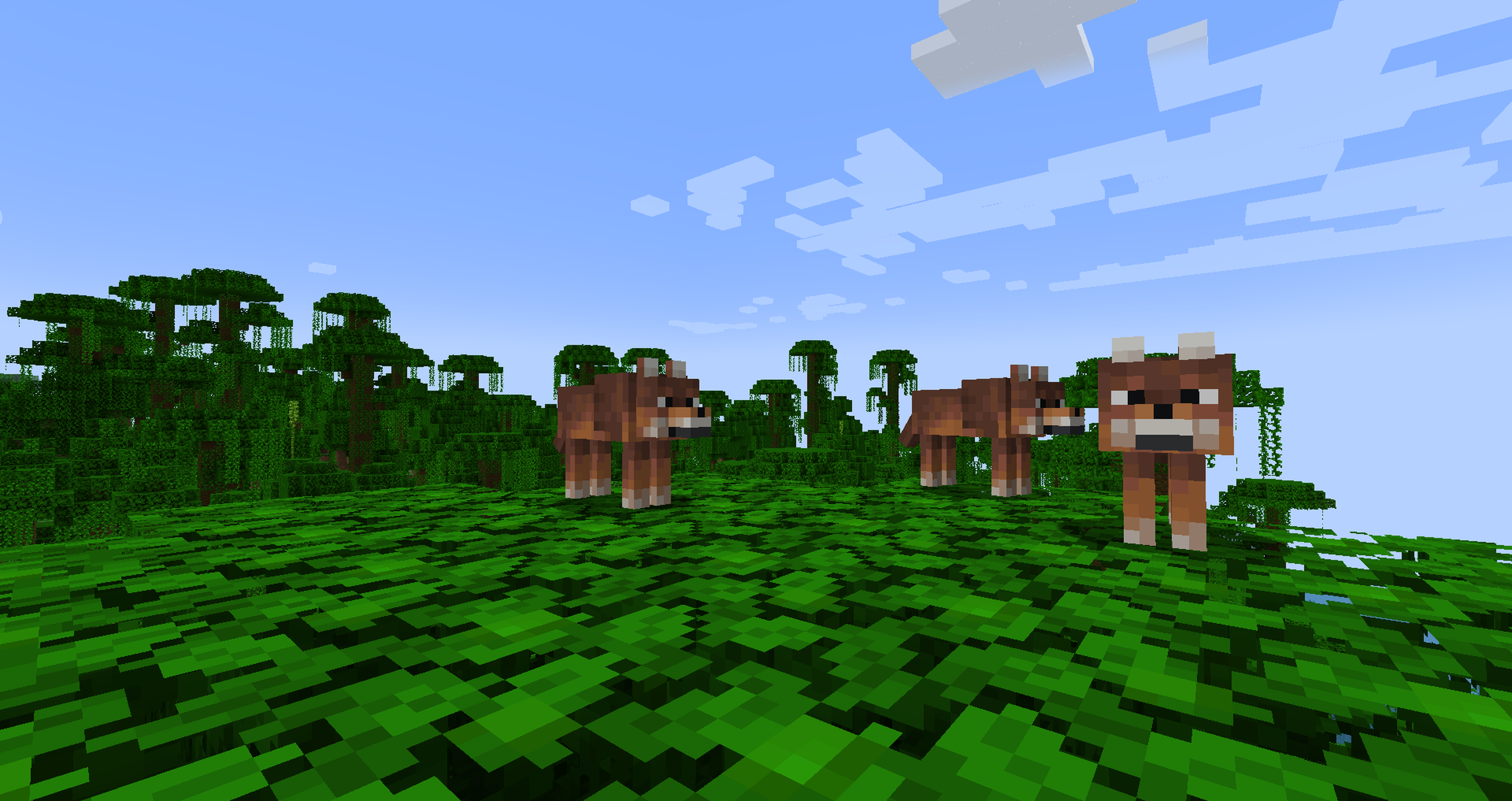 Minecraft 1.20.5 - Every New Wolf And Their Real Life Counterpart