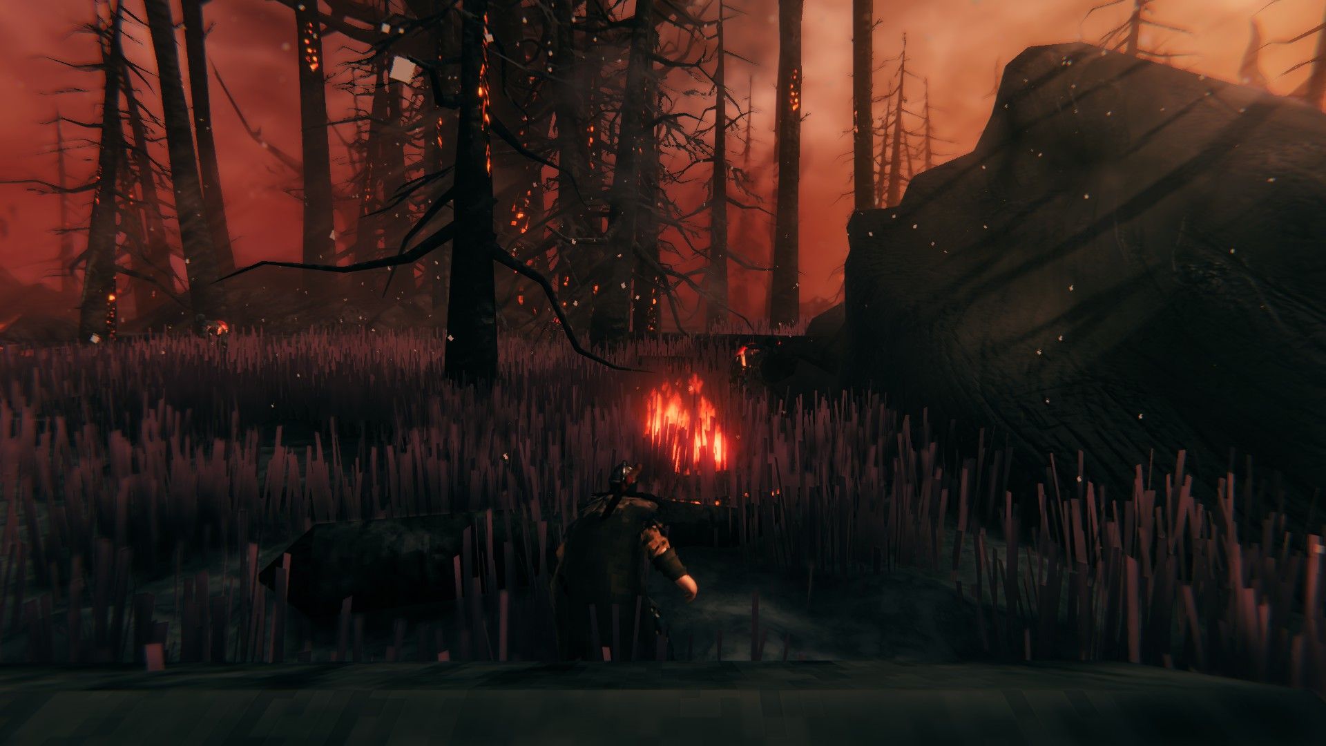 Valheim Ashlands Forest