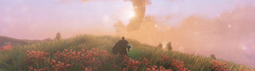 11 Best Tips And Tricks For Beginners In Valheim