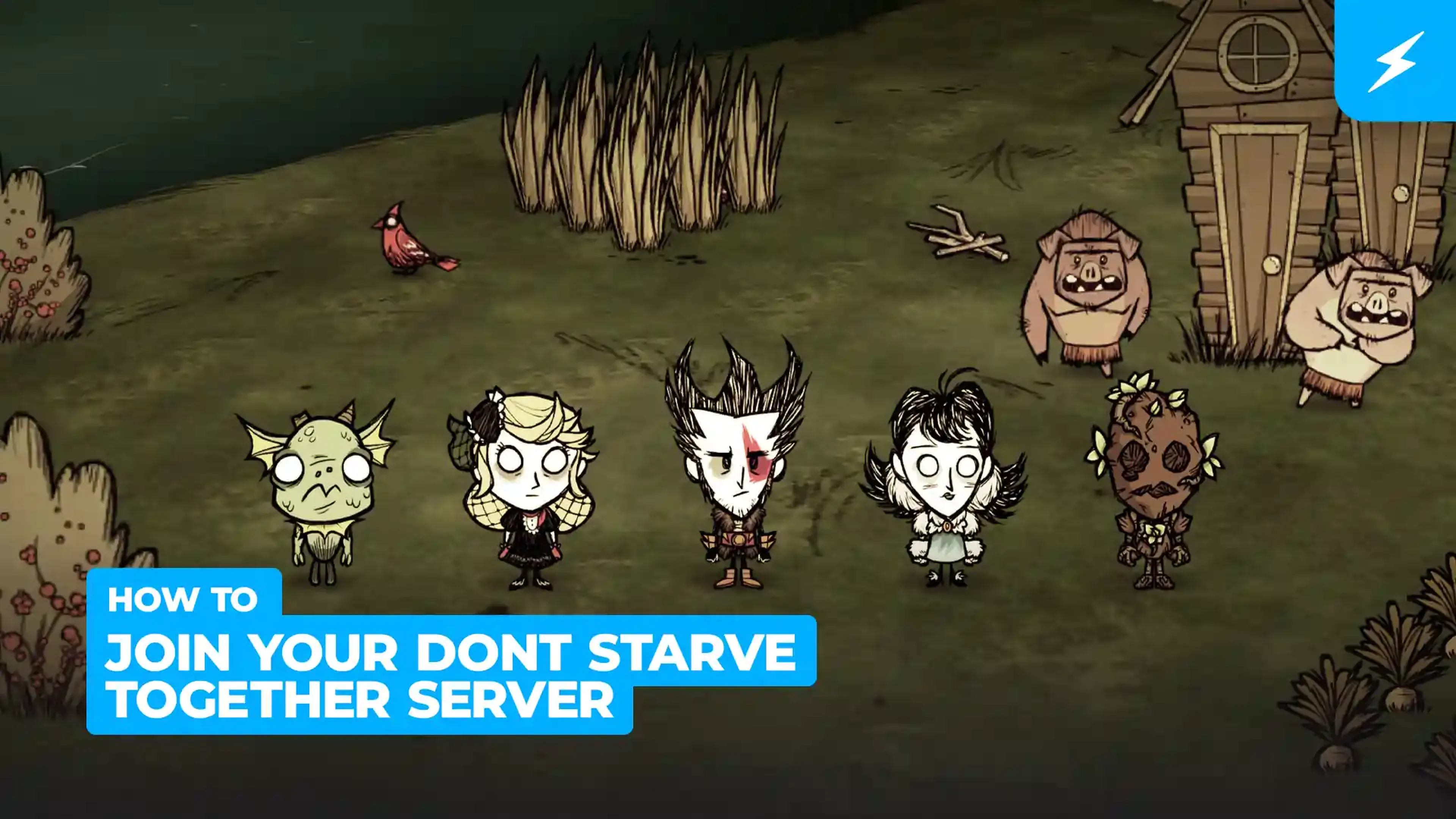 How to Join your Don't Starve Together Server