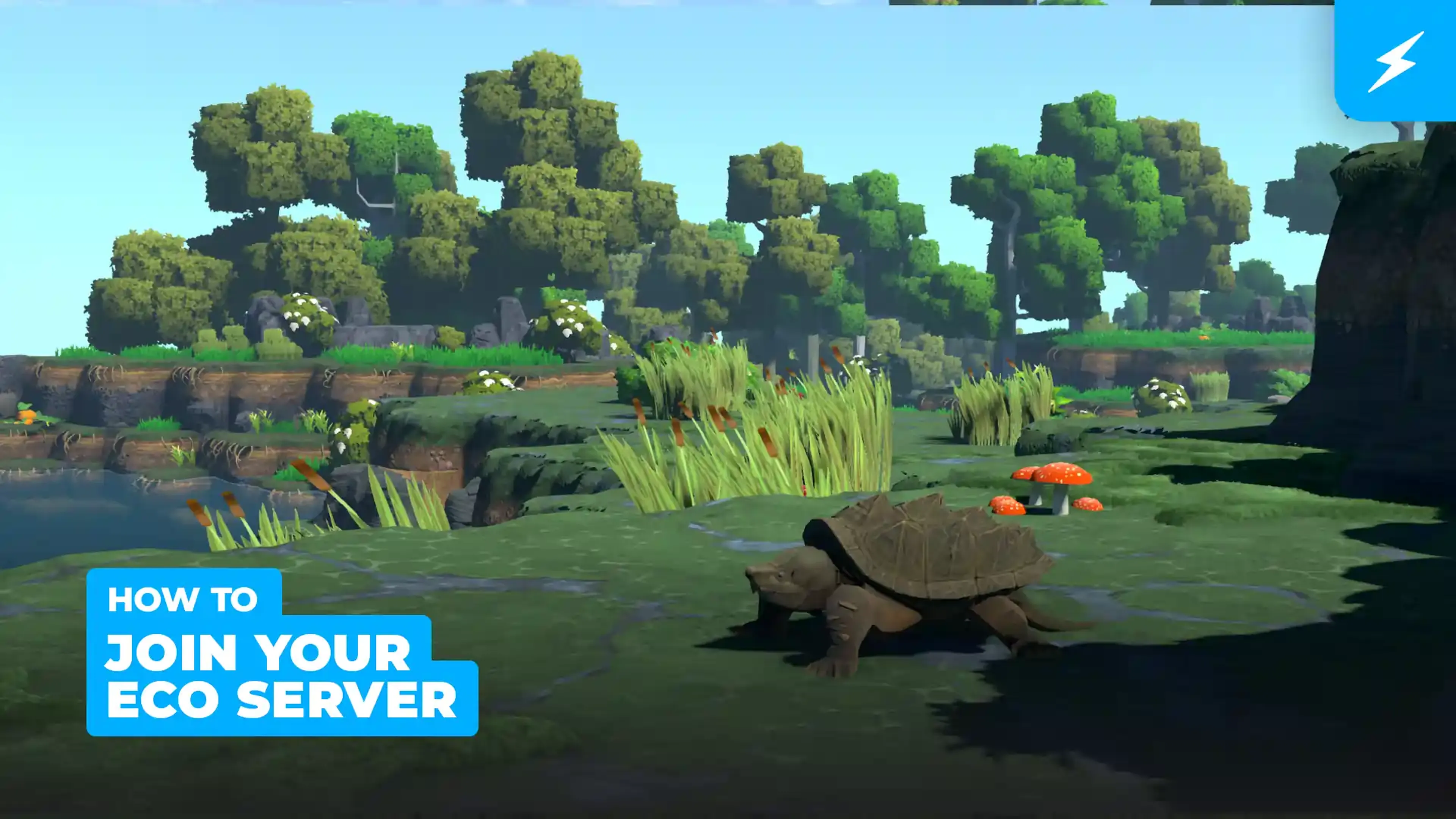 How to Join your Eco Server