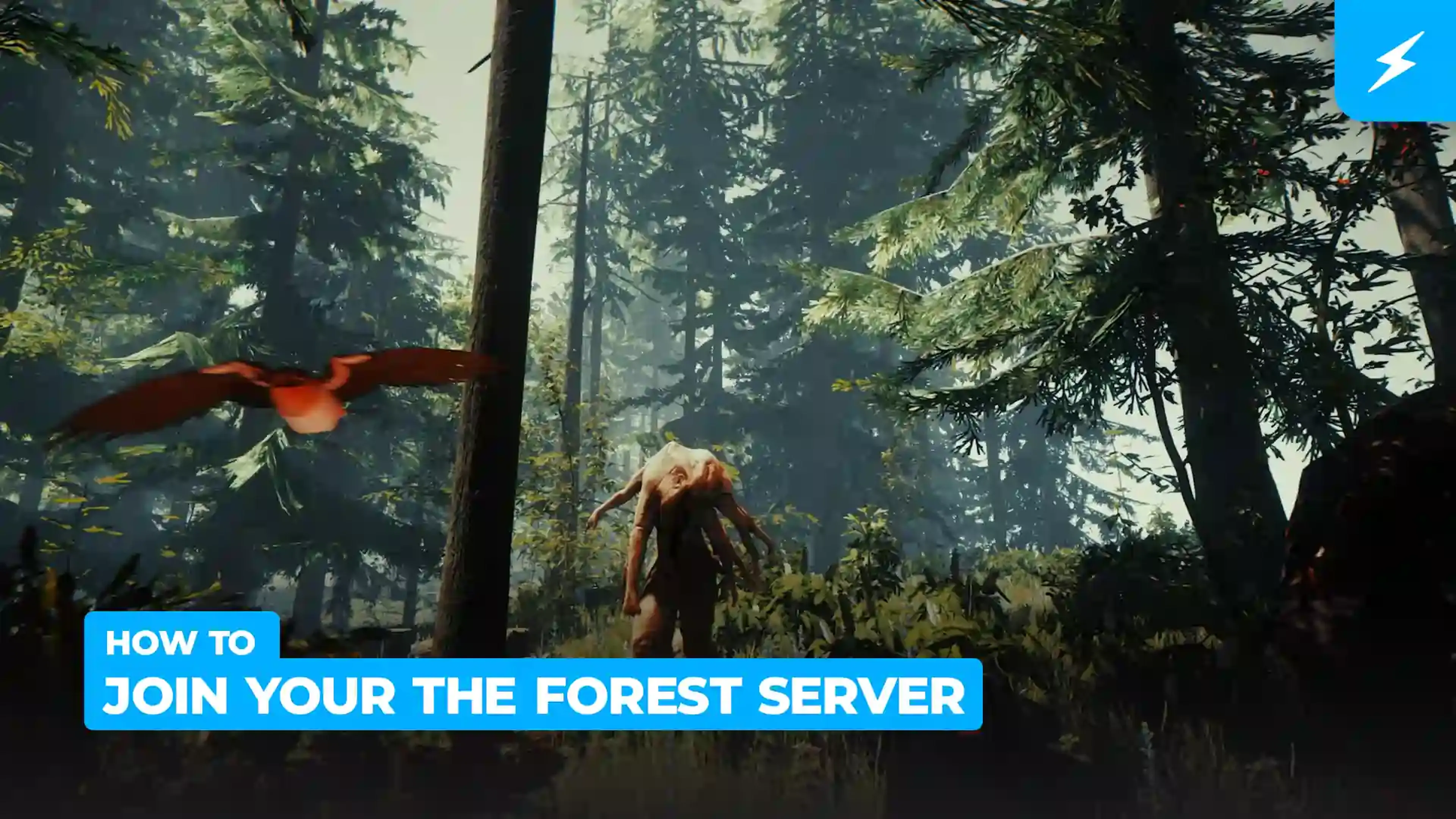 How to Join your The Forest Server