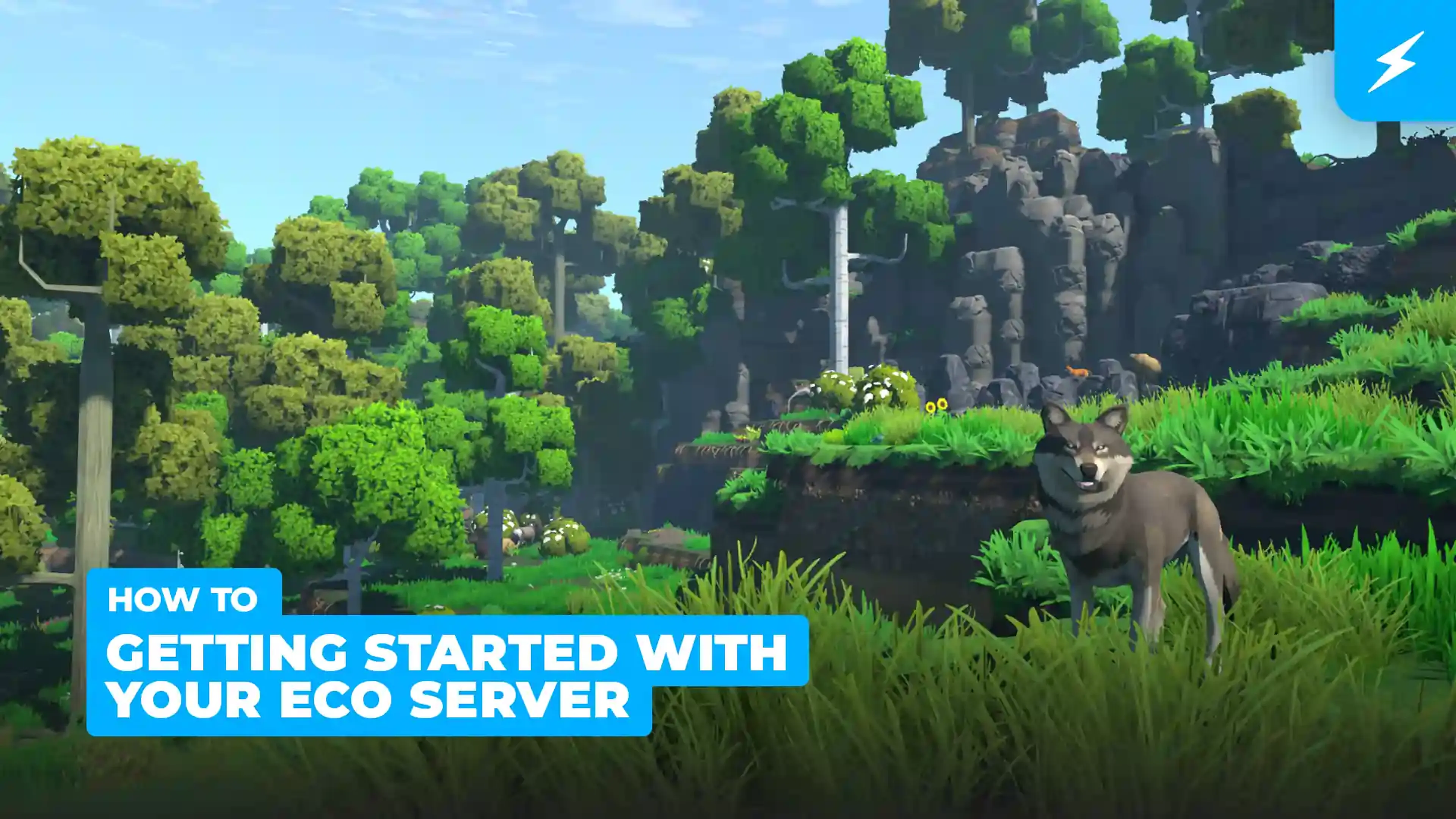Getting Started with your Eco Server
