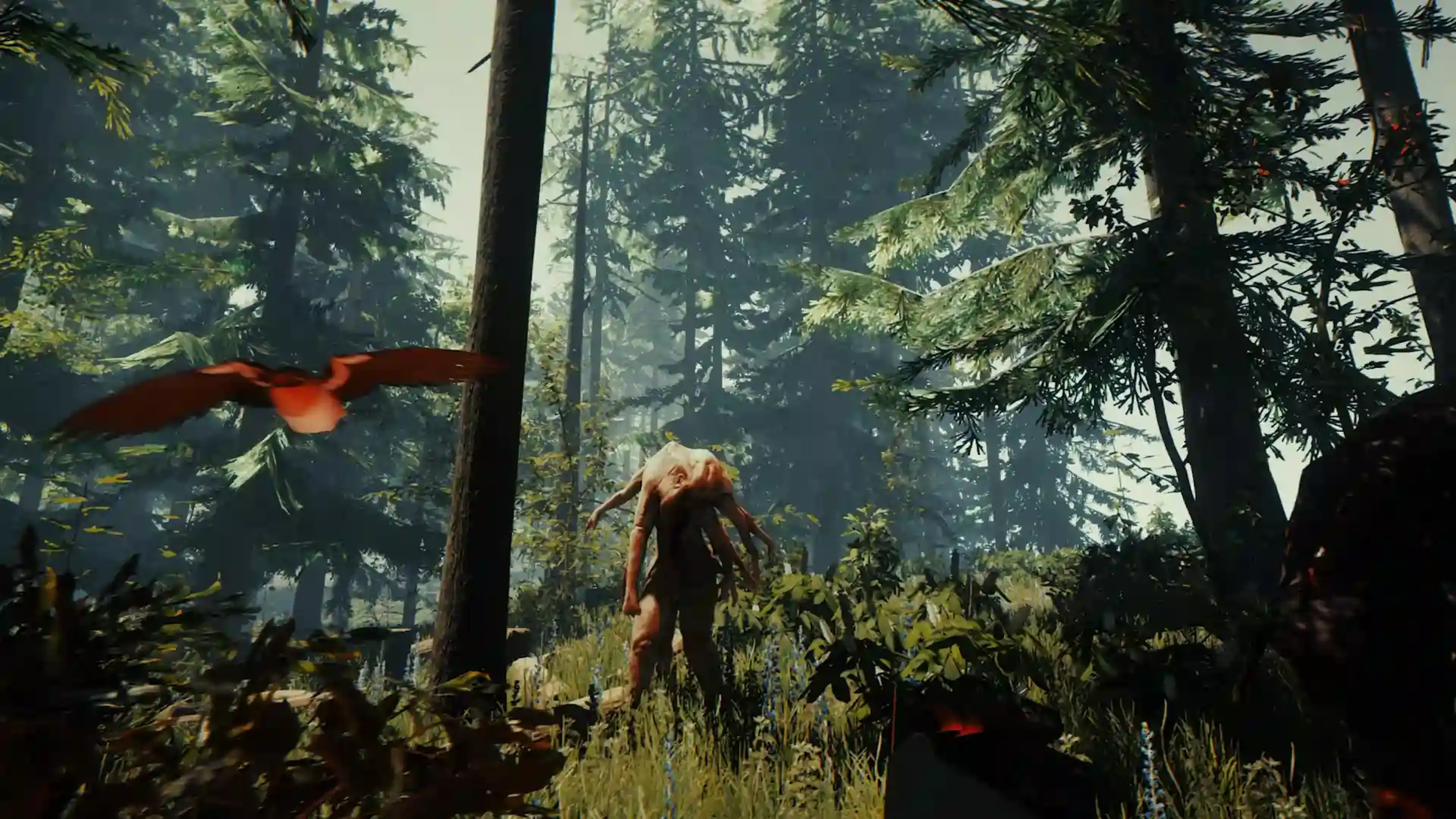 The Forest Dedicated Servers FAQ