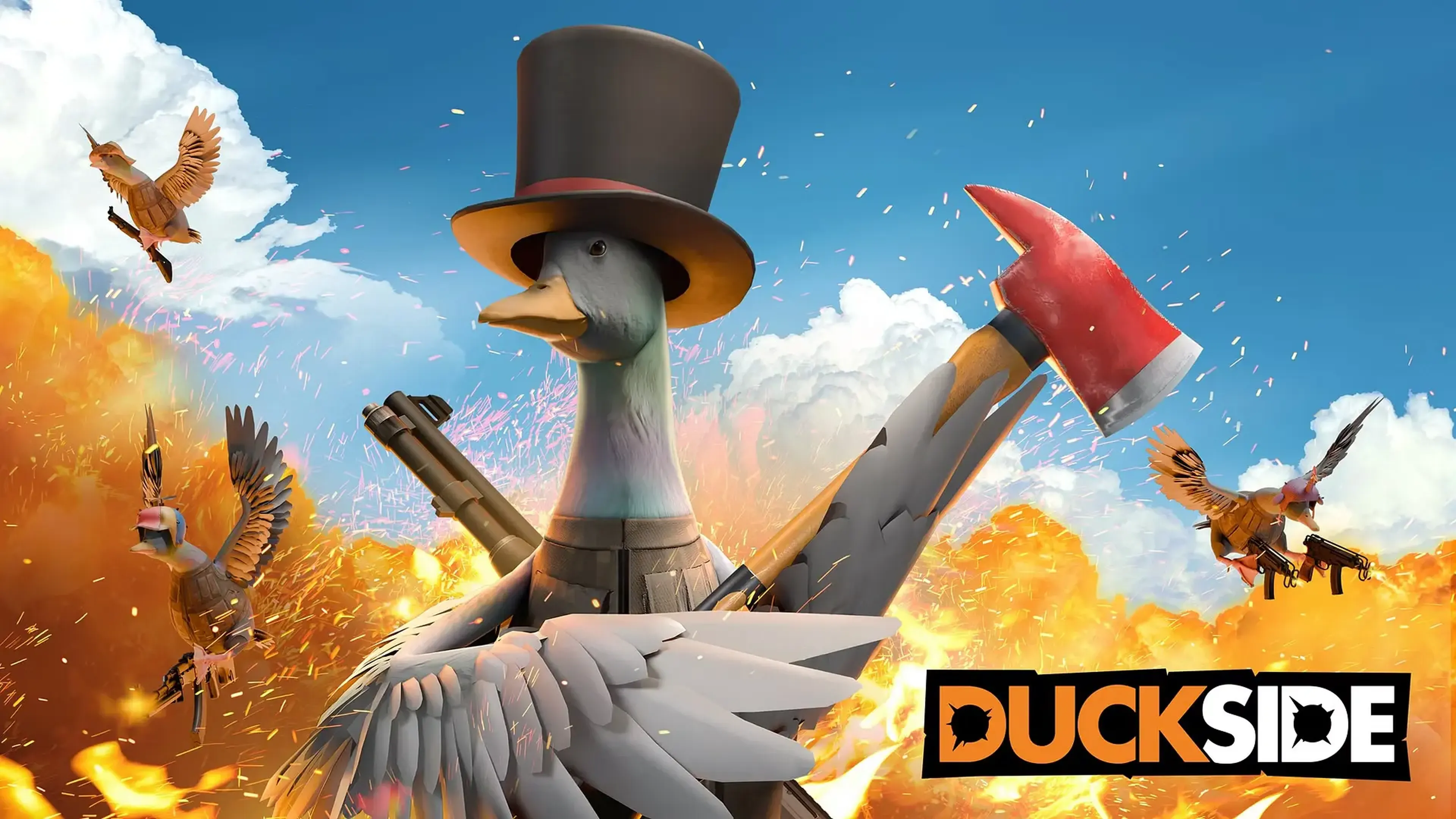 duckside horizontal banner