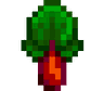 Rhubarb