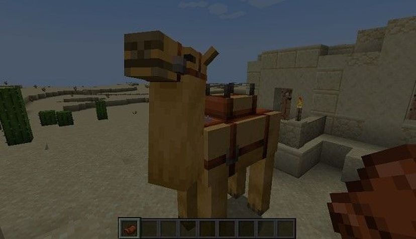 Can You Put A Chest On A Camel In Minecraft