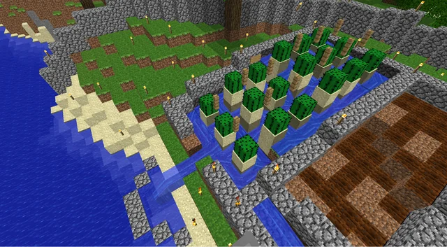 cactus farm in minecraft