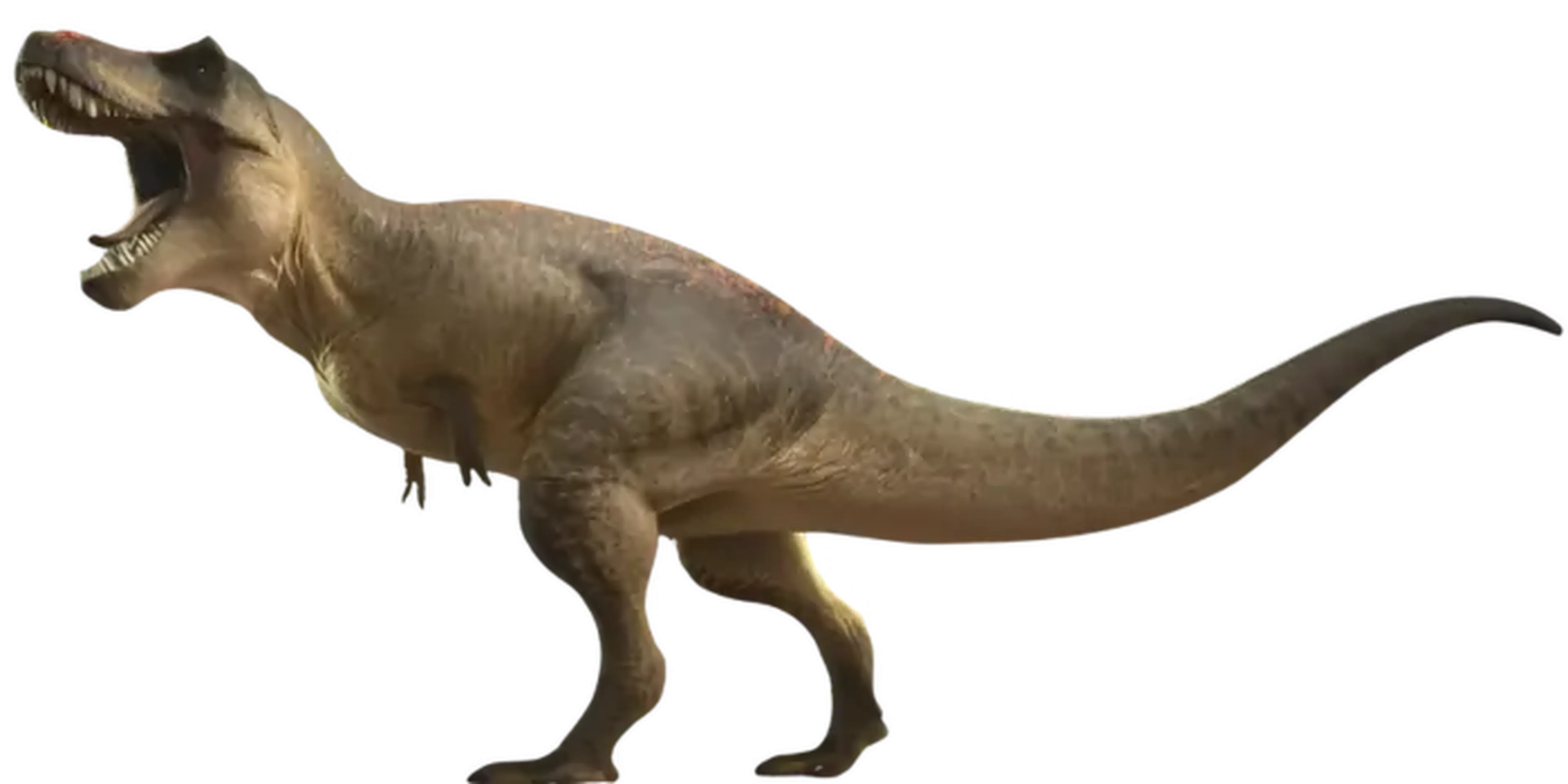 Tyrannosaurus