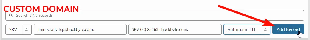 a successfully created SRV record with domain