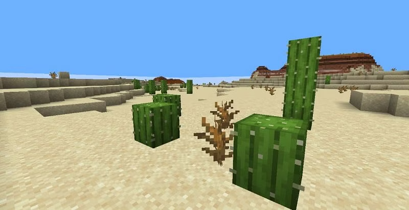 minecraft cactus