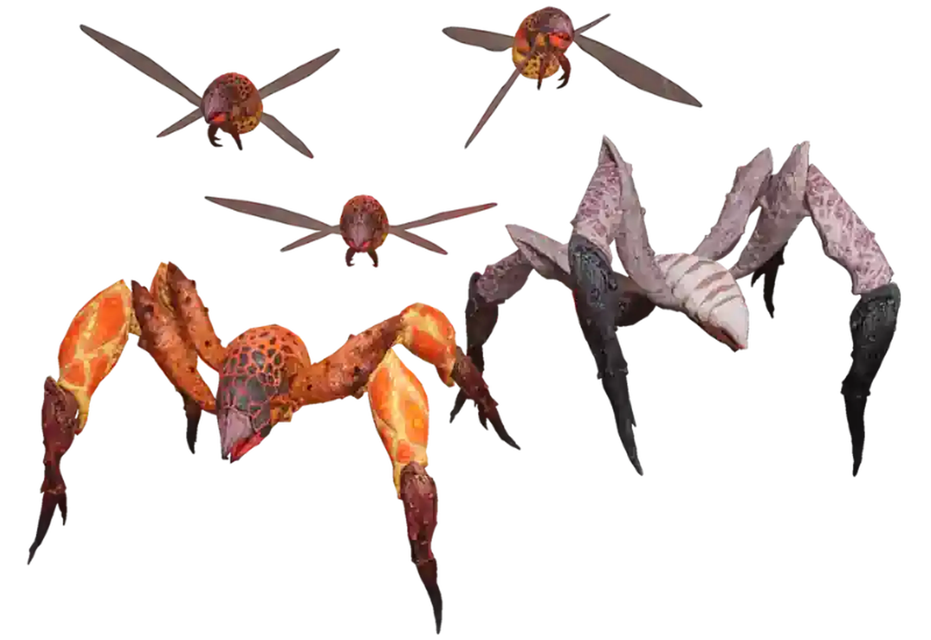 icarus fauna